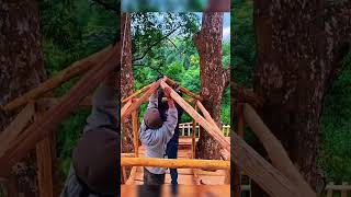 Aesthetic Treehouse in the Middle of the Wild Forest 🔥 #interiordesign #building #treehouse #shorts