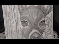 رسمه جديده رسم بالرصاص غزالتي الجميله 