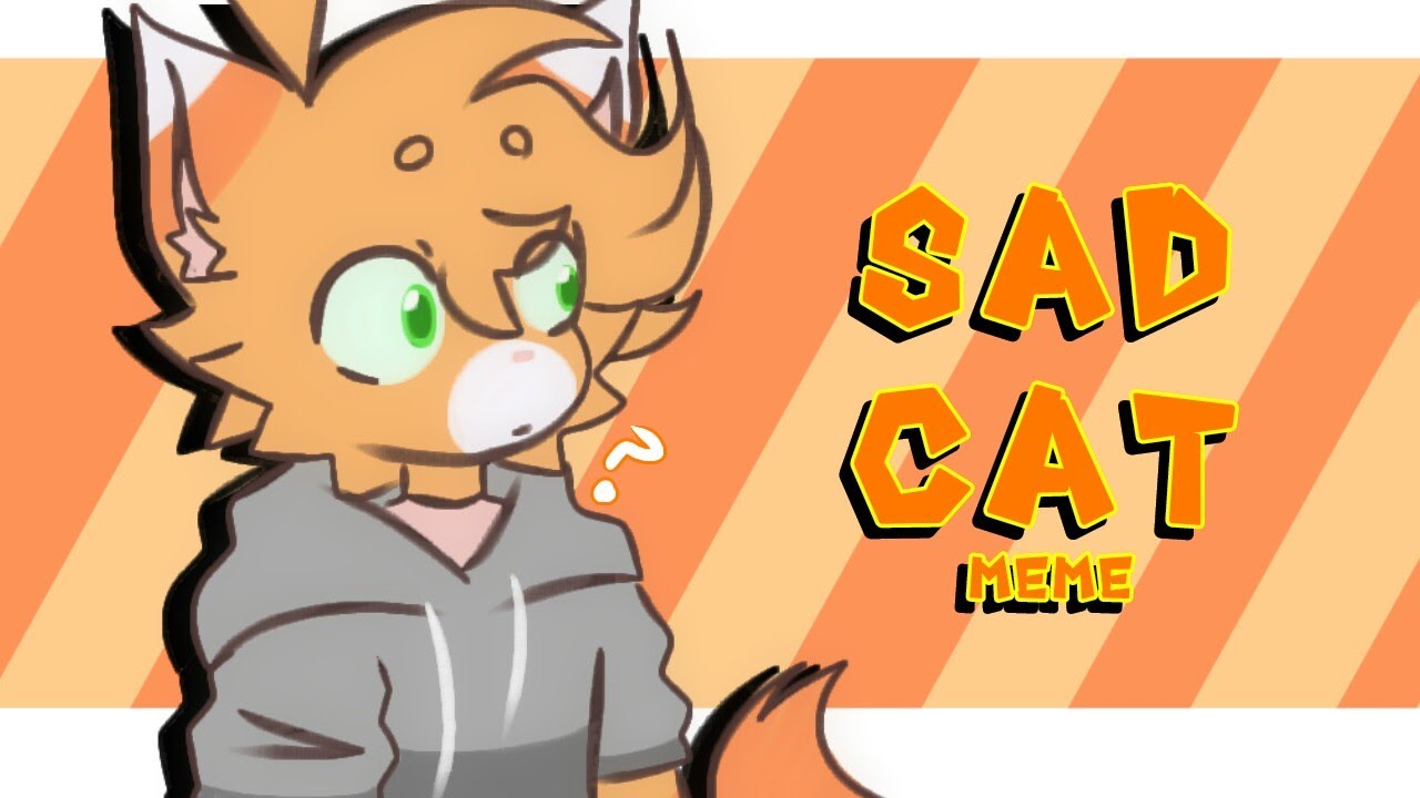 I just uploaded my version of the sad cat dance to my channel