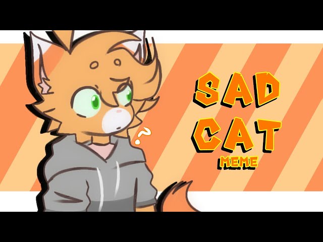 SAD CAT DANCE, TUTORIAL COMO ANIMARLO