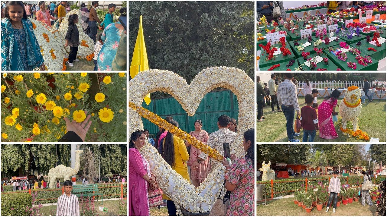Pushp Mela || Random plan ban gya || Flower 🌼, Fruit 🍇 and Vegetable 🥒 exhibition || 