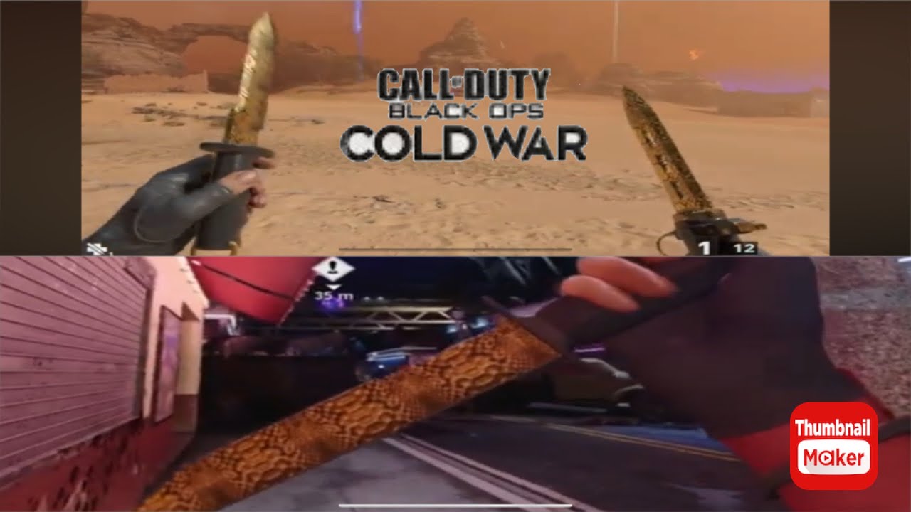 Call of duty black ops Cold War  two weapons gold ￼￼