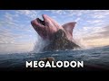 Megalodon Never Stopped Growing… Until Now?!