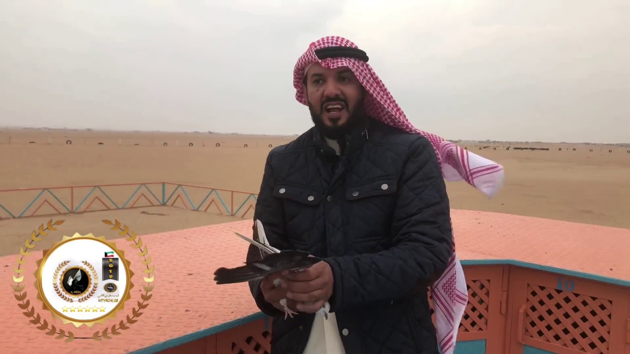 دورة لوت ولون الثانية لموسم 2019 مقابلة السيد صلاح البذالي