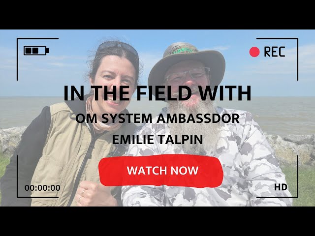 In the Field with OM System Ambassador Emilie Talpin class=