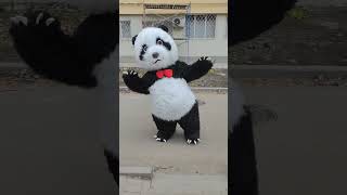 Танцующая 🐼 Панда