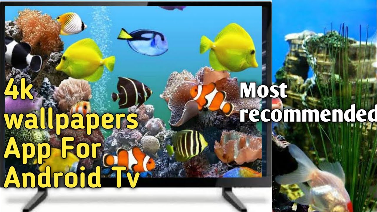 テレビ AndroidTV Amazon | [東京Deco] 19V型 SmartTV スマートテレビ(Android TV) 液晶