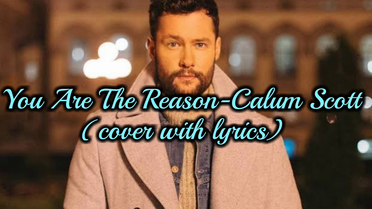 Calum Scott You Are The Reason Text