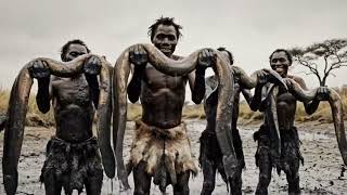 Life Million Years Ago | onflict over food