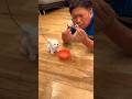 papa's favorite donut | Manash funny family #shorts