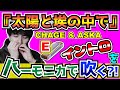 【ハーモニカ/吹き方】『太陽と埃の中で/CHAGE&ASKA』チャゲアス/イントロ/弾き語り