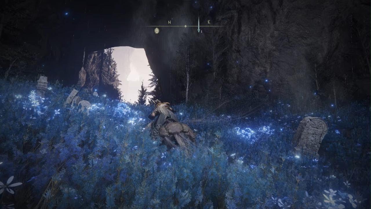 Drago Del Picco Frastagliato