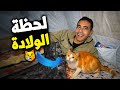 قطة دخلت خيمتنا واللي صار بعدها فاجأنا