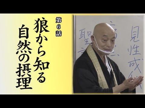 Wisdom Learned from Zen Phrases: Master Yamakawa Sogen of the Rinzai Sect Speaks - Episode 6