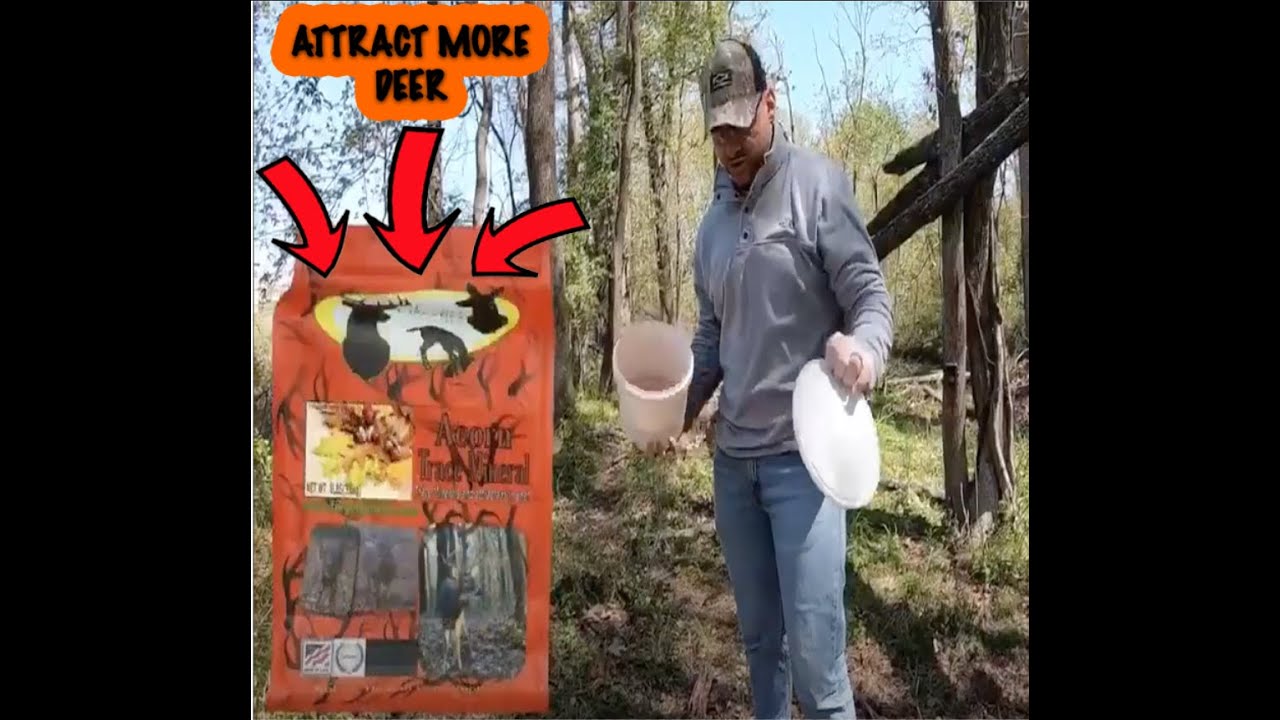 Flavored Trace Minerals