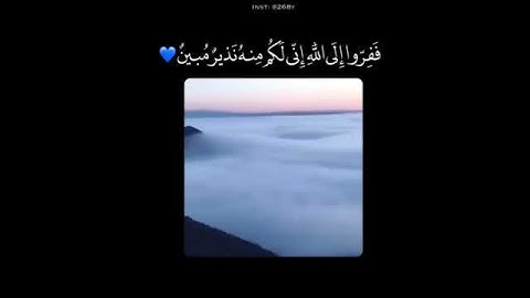 قرآن كريم بصوت القارئ: محمد النقيب || أجمل حالات واتس اب دينيه || تلاوة خاشعة 🌿