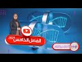 DNA2 RNA الفصل الخامس الوراثة السادس العلمي نورا الدايني