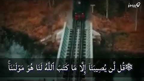عبدالباسط عبدالصمد تلاوه رائعه ....قل لن يصيبنا الا ماكتب الله لنا ....
