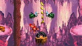 Donkey Kong Country [GBA] SR - Bouncy Bonanza [101%]