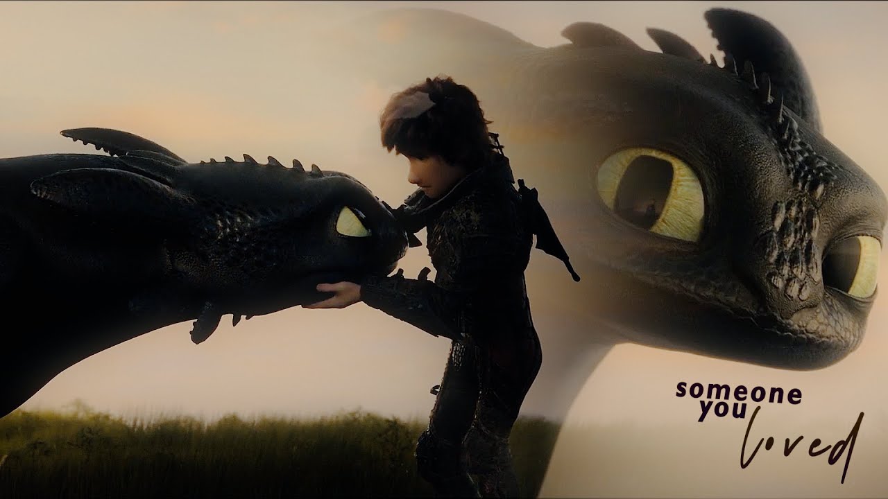 Someone you Loved  || Hiccup + Toothless