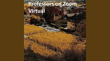 Professors on Zoom Virtual