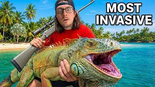 I Took on Florida's Iguana Problem...