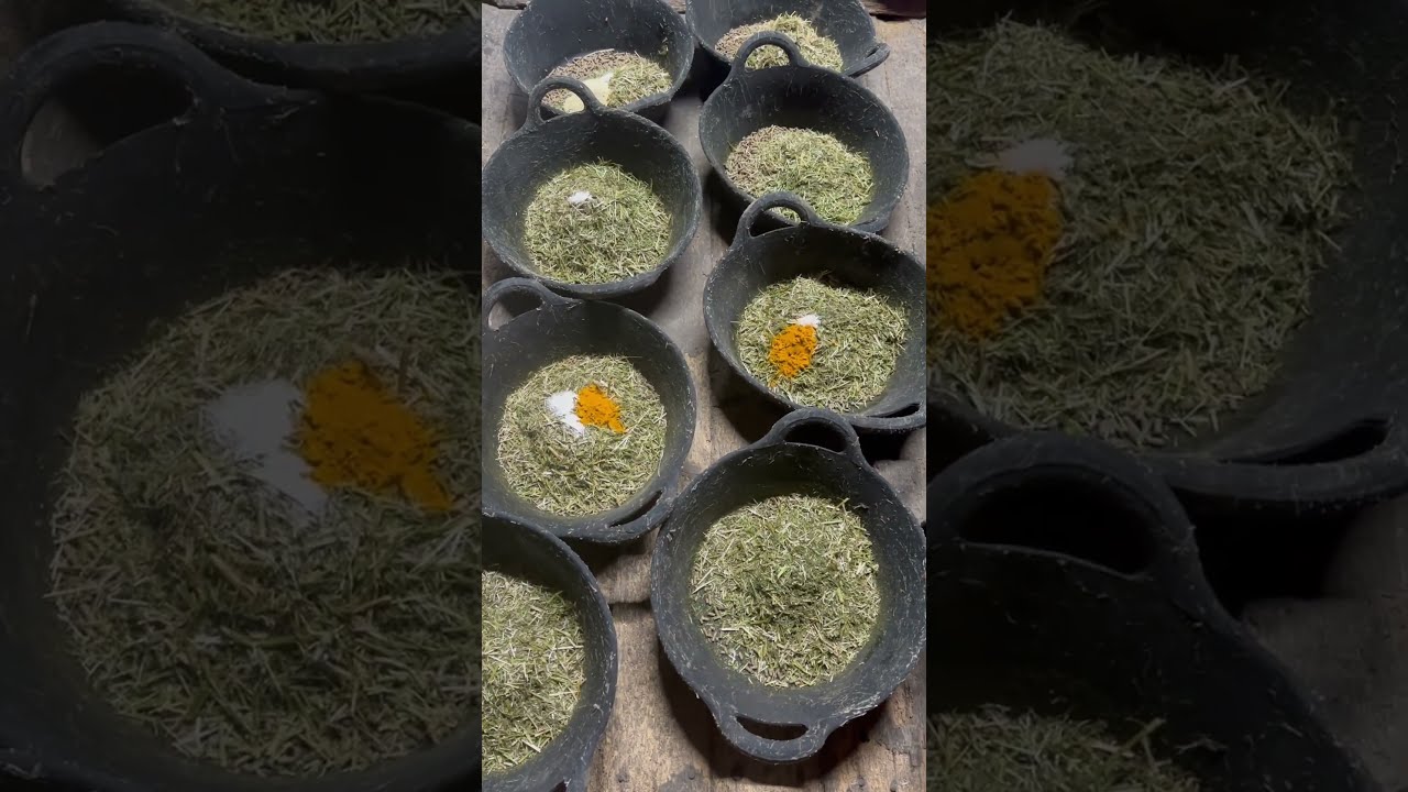 Feed Prep For The Boys And Girls Animallover Blackhorse