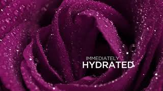 SISLEY PARIS   Black Rose Skin Infusion Cream   YouTube
