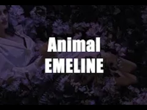 Emeline - Animal