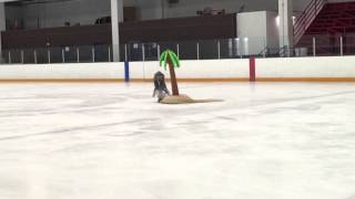 Rachel Showcase Free Skate 4 Denver Invitational 2016 2nd place