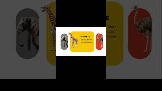 Powerpoint Morph Transition 💫#powerpoint #morphtransition #powerpointtricks #shorts