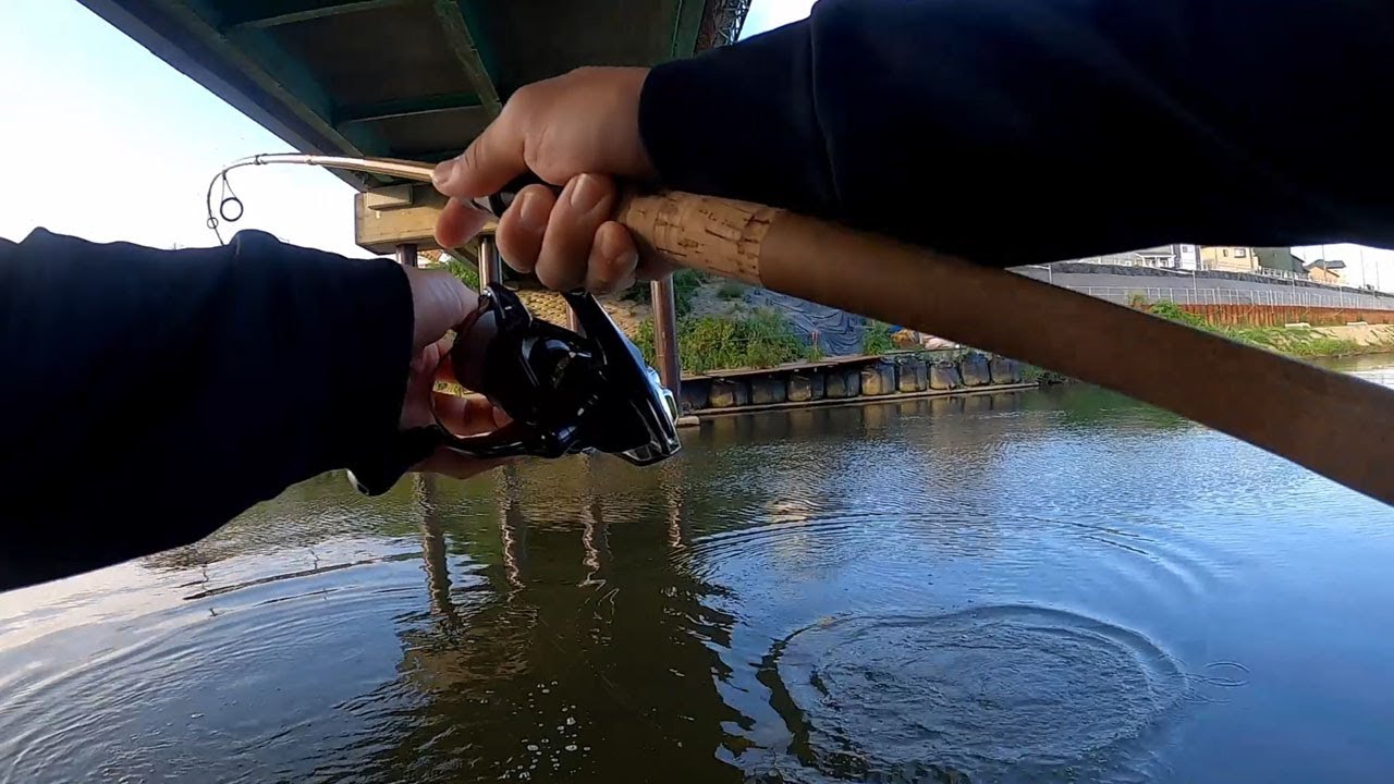 房総半島 川めぐり！茂原編