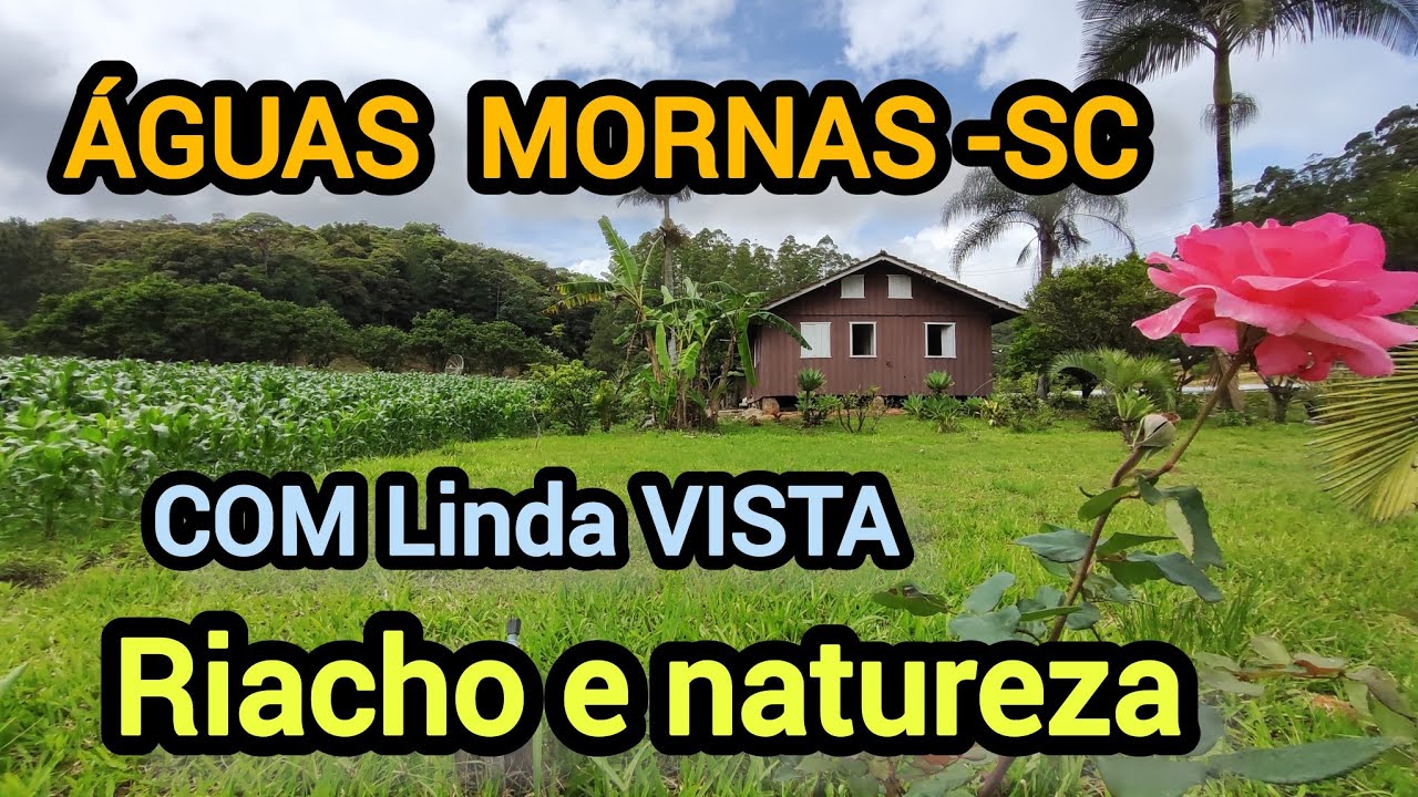 Sítio PLANO em Águas Mornas-SC,  com Riacho , bosque e  LINDA VISTA. 36.000 m 2 R$790.000,00