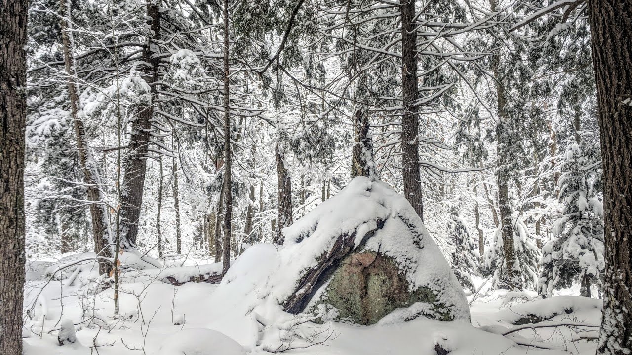 Black River Wild Forest Winter Hiking, Adirondack Bushwhacking with