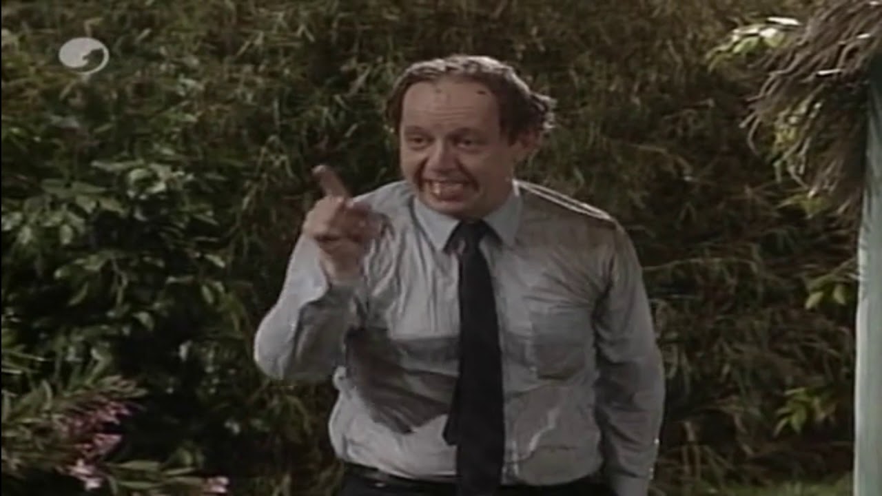 ALF DISCUSIONES CON WILLY (SEGUNDA TEMPORADA)