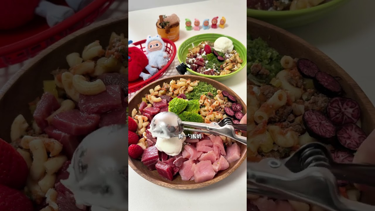 vlog.149 Double Dog Family Immersive meal preparation