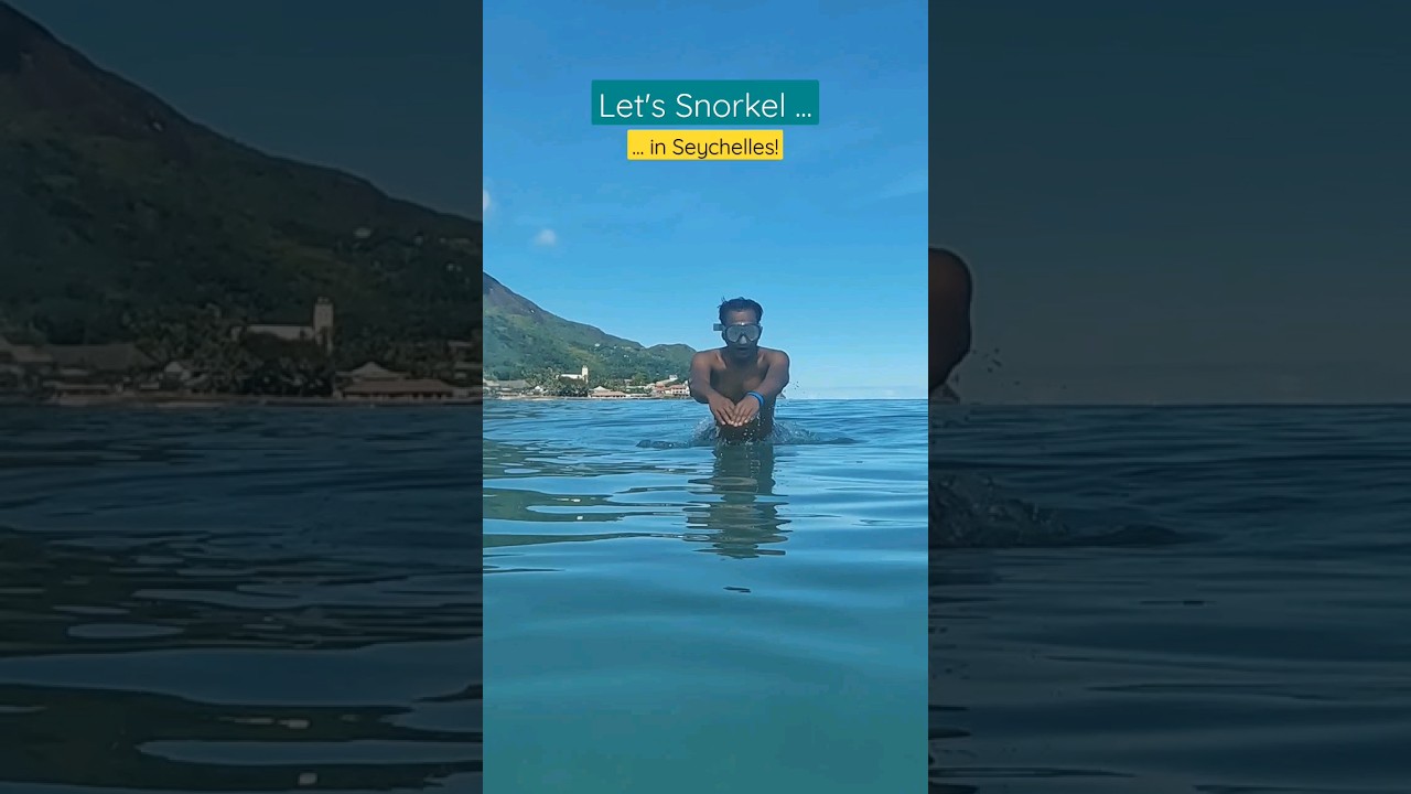 Swim with Sharks in Seychelles! 🫣 Save for best spot to find them! 