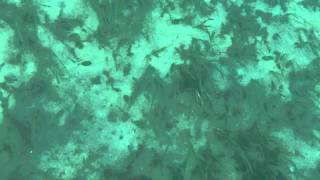 FILE0114.AVI