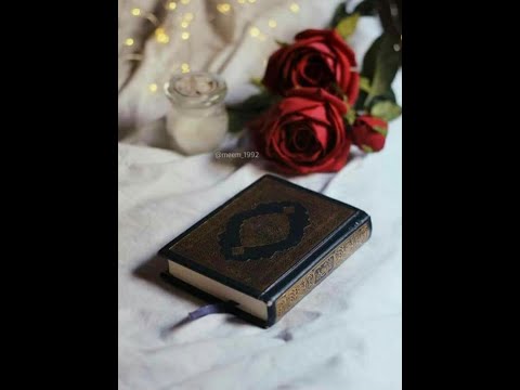 سورة الفتح بصوت اسلام صبحي تلاوه هادئه بدون حقوق 