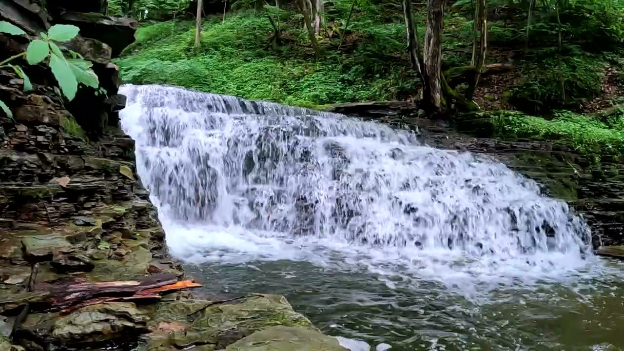 Mapledale Farms Waterfalls ASMR