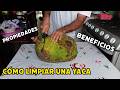 Cómo limpiar una yaca fácilmente | Propiedades y beneficios nutricionales