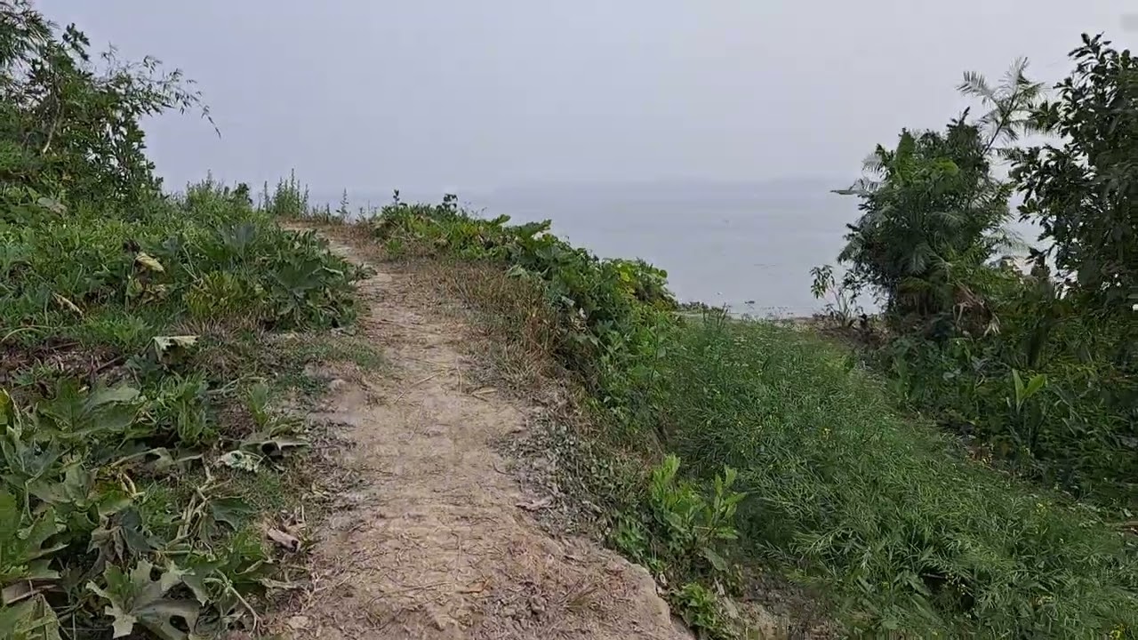 vegetable garden near river side