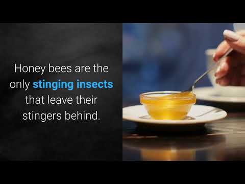 Video: How To Remove Swelling From A Wasp Sting At Home