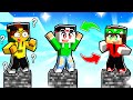 SOPRAVVIVI SCAMBIATO DI CORPO su UN PILASTRO DI BEDROCK su MINECRAFT!