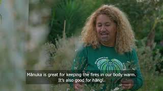 WAKA HUIA - AWHITIA MIHAERE FULL EPISODE