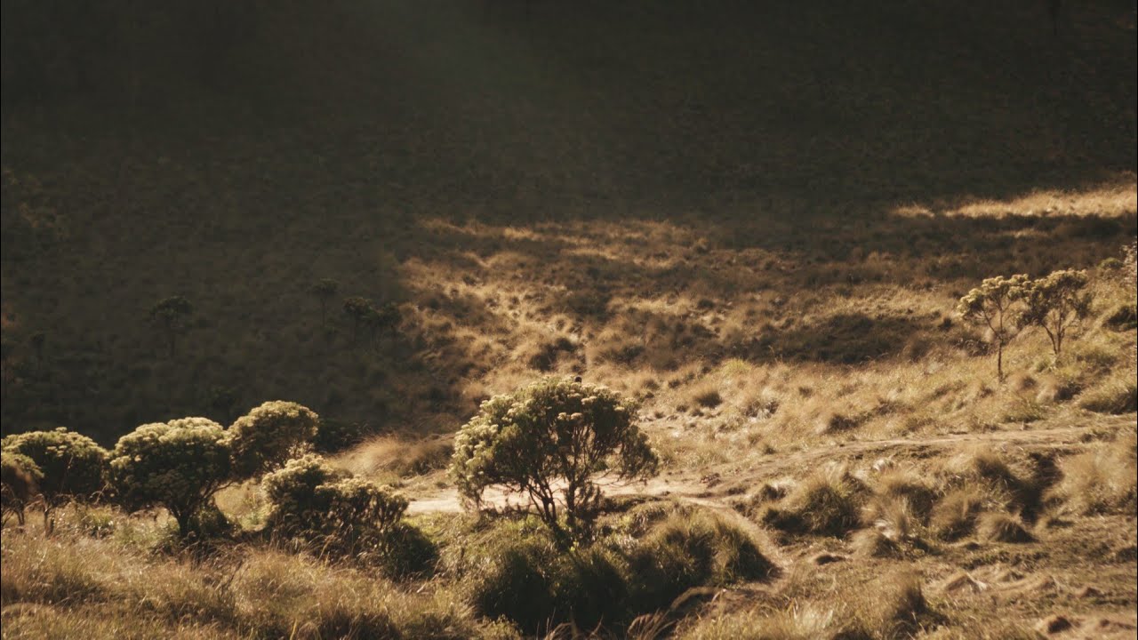 Sabana Gunung Butak - | Sony ZV - E10 Cinematic VLOG - YouTube