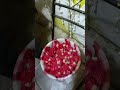 ham log ka Ghar mein phool ka Chadar banta hai 🌹🌹🌹