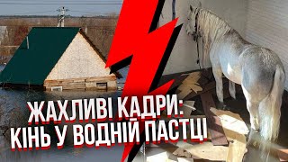 ❗️Все! В РФ начался ИСТОРИЧЕСКИЙ ПОТОП. Вода критично поднялась. Затапливает самый важный объект