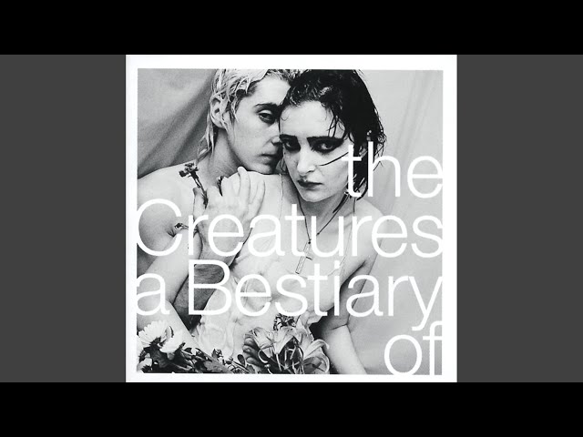 The Creatures - Festival Of Colours