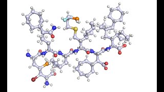 Celebrity Realistic Confirmation Using Sculpting Feature in PyMol Profile